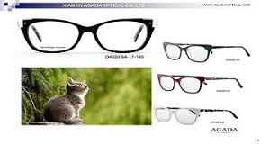 AGADA CAT EYE GLASSSES at 2019 VEW